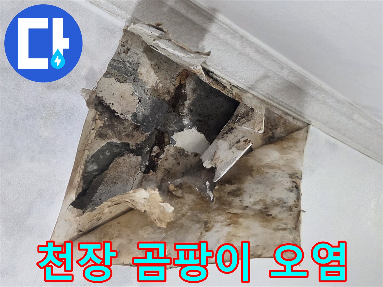 습기로 인해 변색되고 부식된 천장 마감재 내부