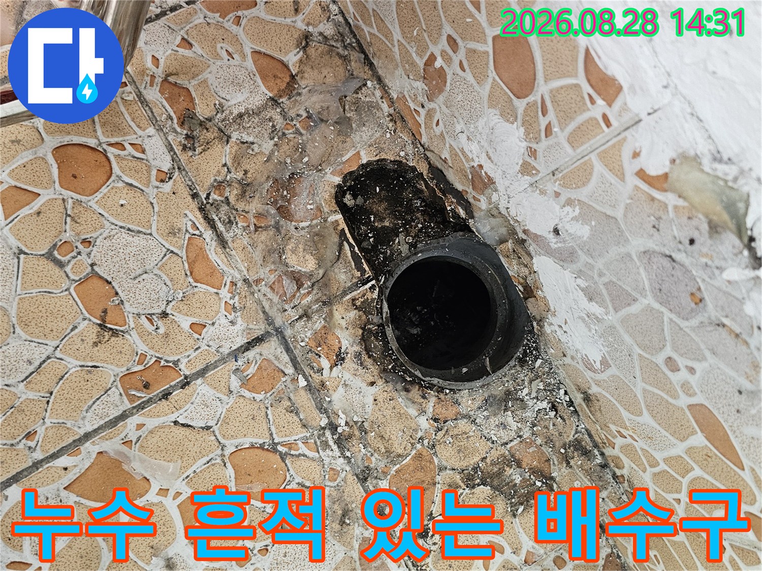 곰팡이가 발생한 노후된 하수구 배관 부위입니다.