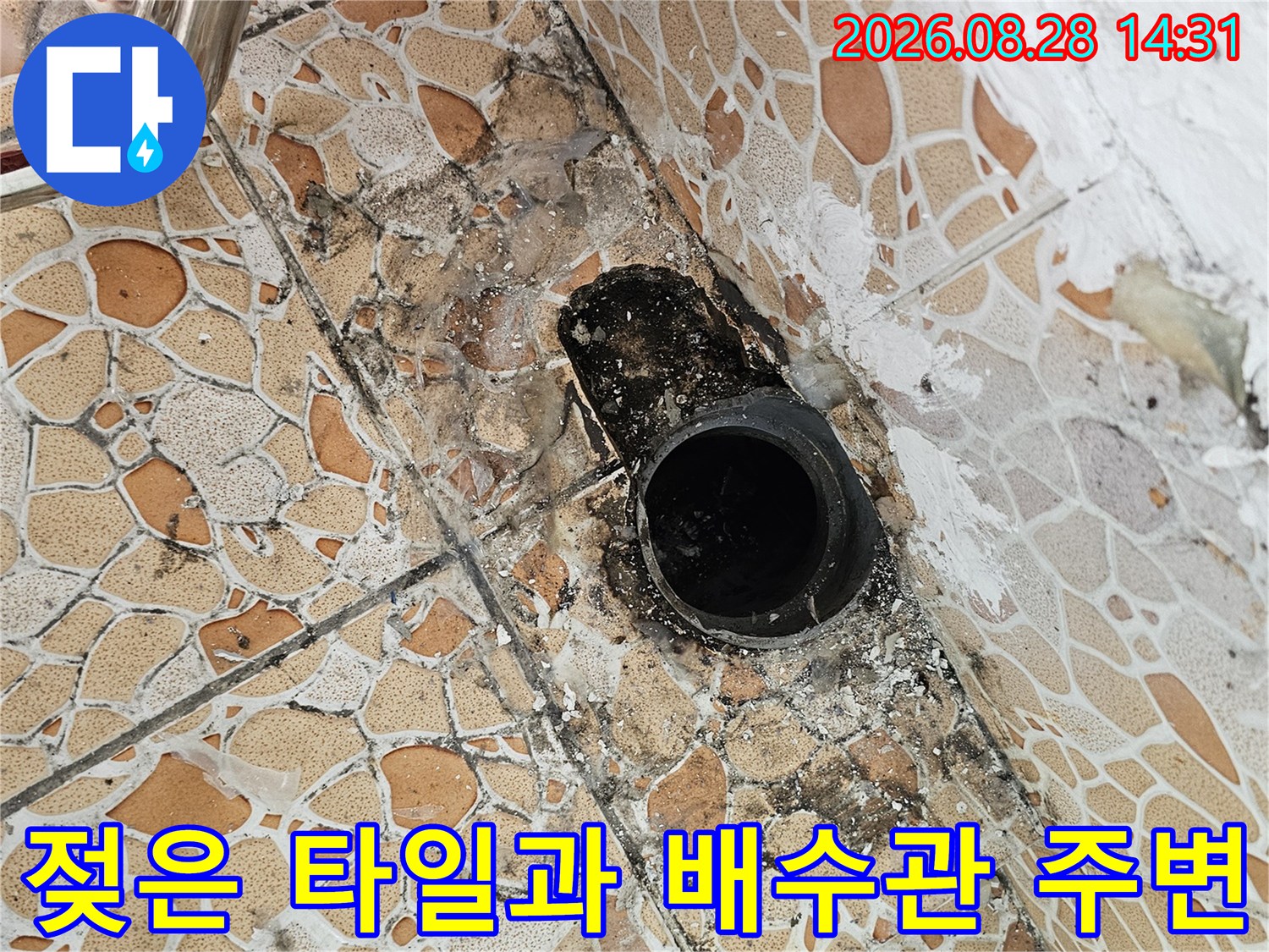 습기로 인해 곰팡이가 발생한 베란다 배수구 근처 타일