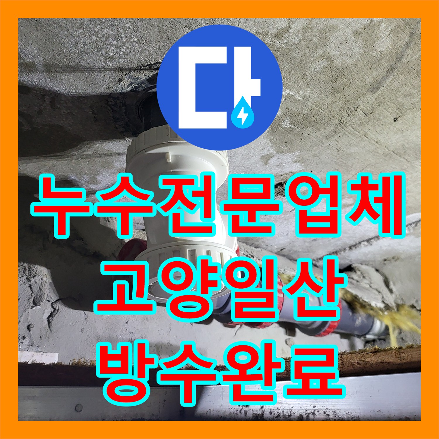 누수전문업체 화장실 하수관 역류 누수 보수와 타일 방수 작업 일산동구 중산동