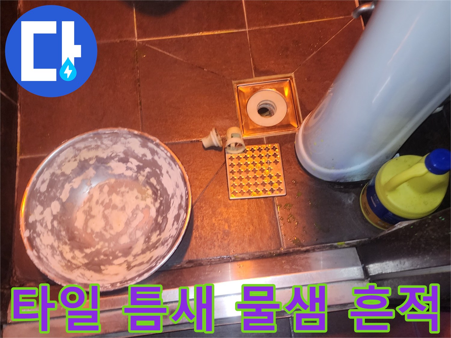 성동구 도선동-배수구 주변 타일 사이 습기 상태
