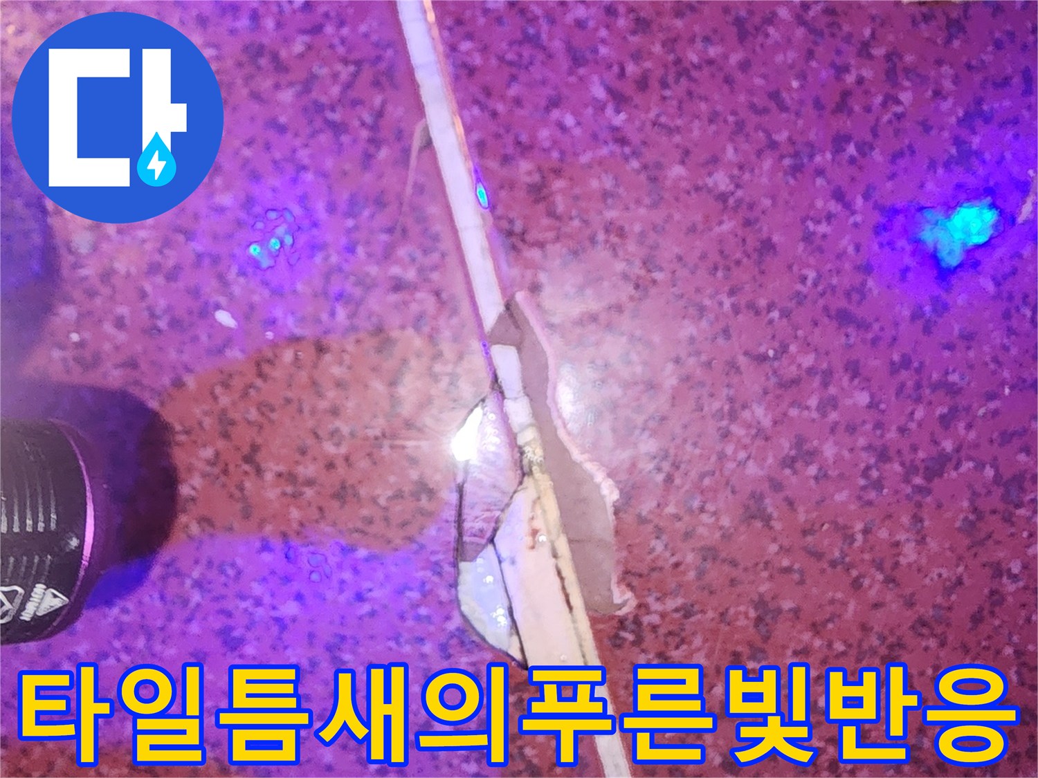 자외선-랜턴-조사로-찾아낸-타일-사이-물샘-지점