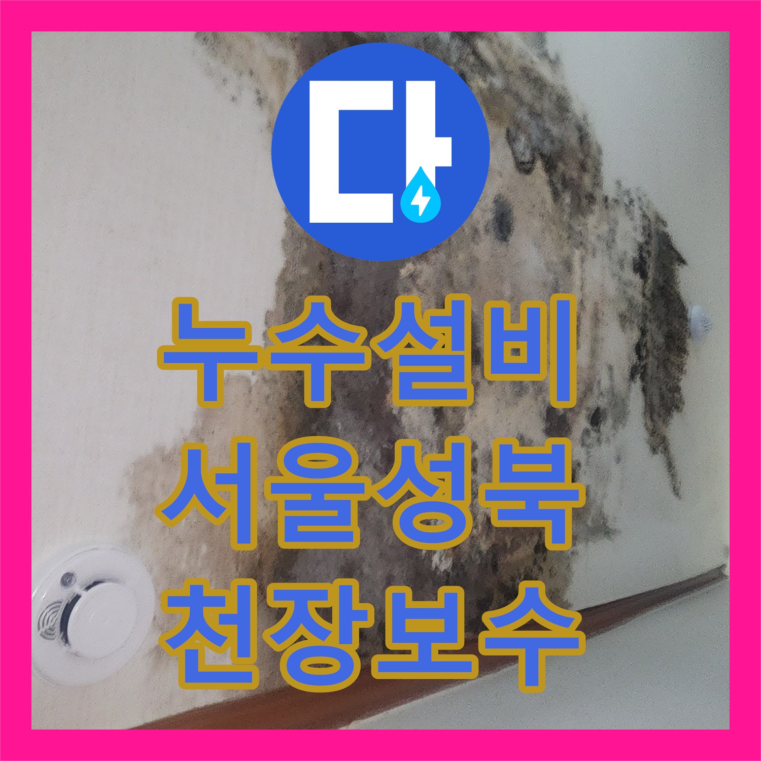 누수설비 보일러 분배기 결함으로 인한 지하 거실 천장 누수 공사 서울 성북구
