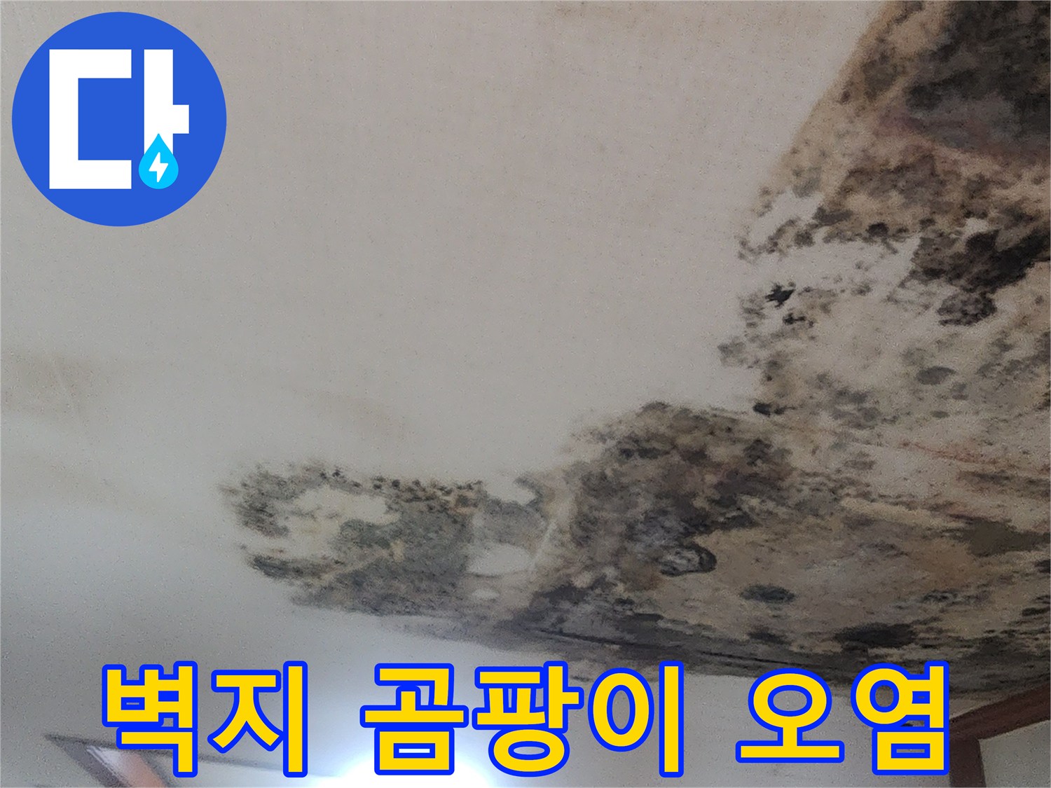 물샘 현상으로 인해 변색된 천장 벽지와 곰팡이 영역