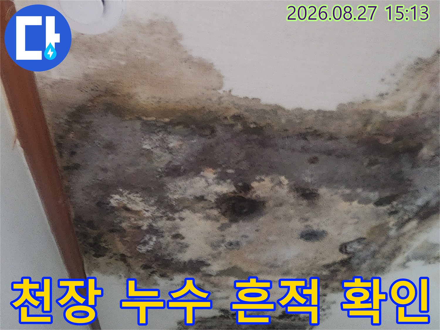 심하게 오염된 거실 천장 벽면의 누수 및 곰팡이 발생 모습