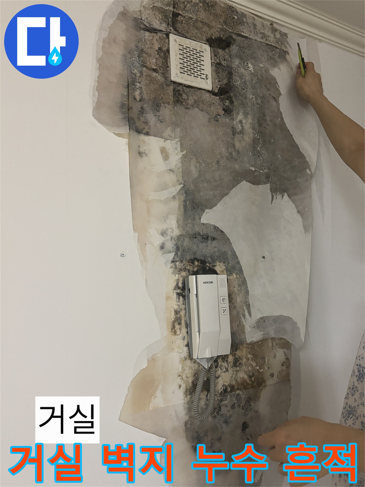 노원구 상계동 아파트 거실 벽면의 심한 물샘 및 곰팡이 발생 상태