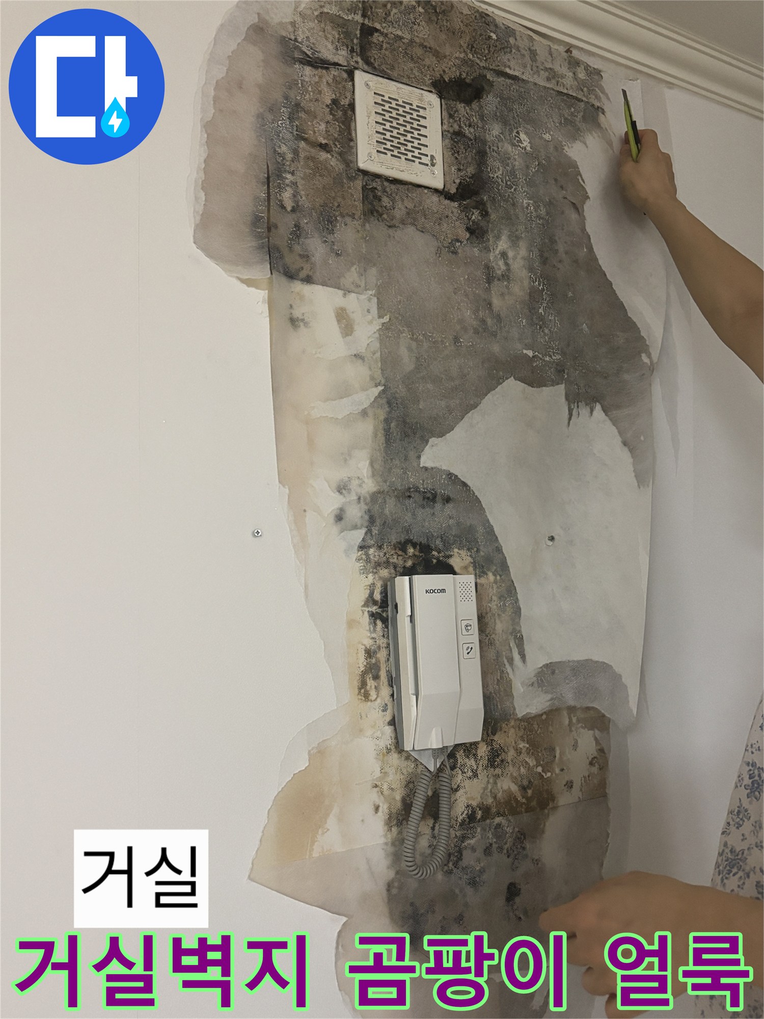 노원구 상계동 아파트-거실 벽지 훼손 및 곰양 상태
