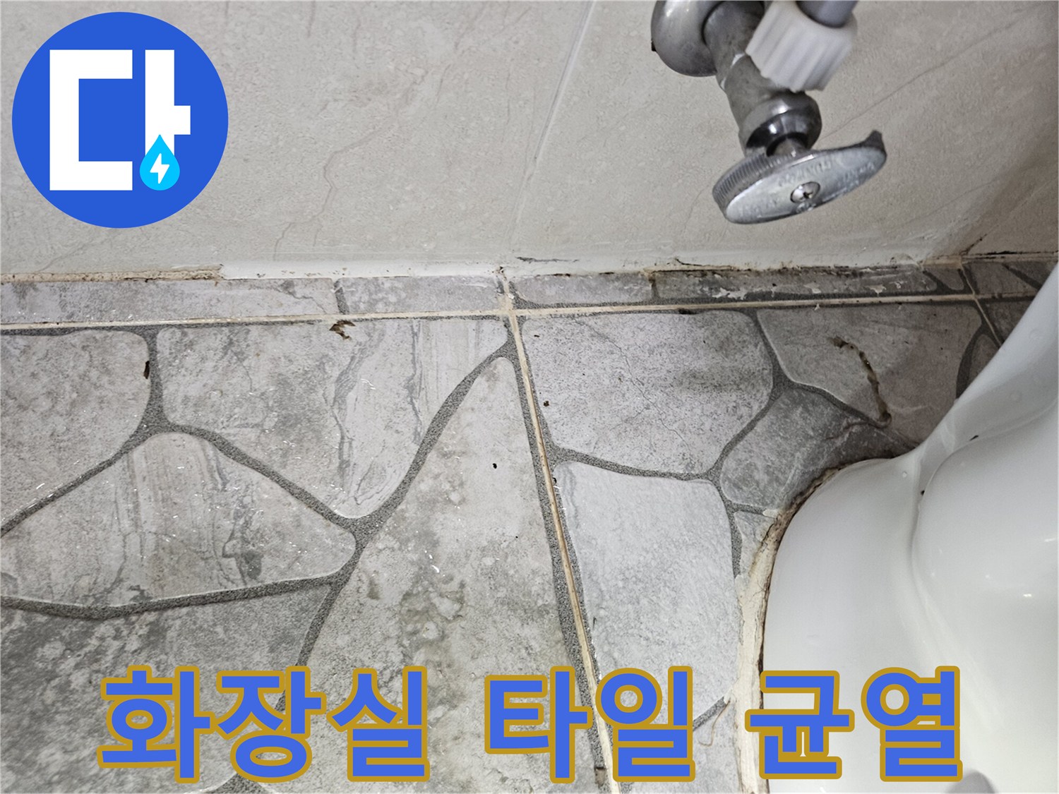 노원구 상계동 화장실 타일 줄눈 부위의 오염과 습기 상태