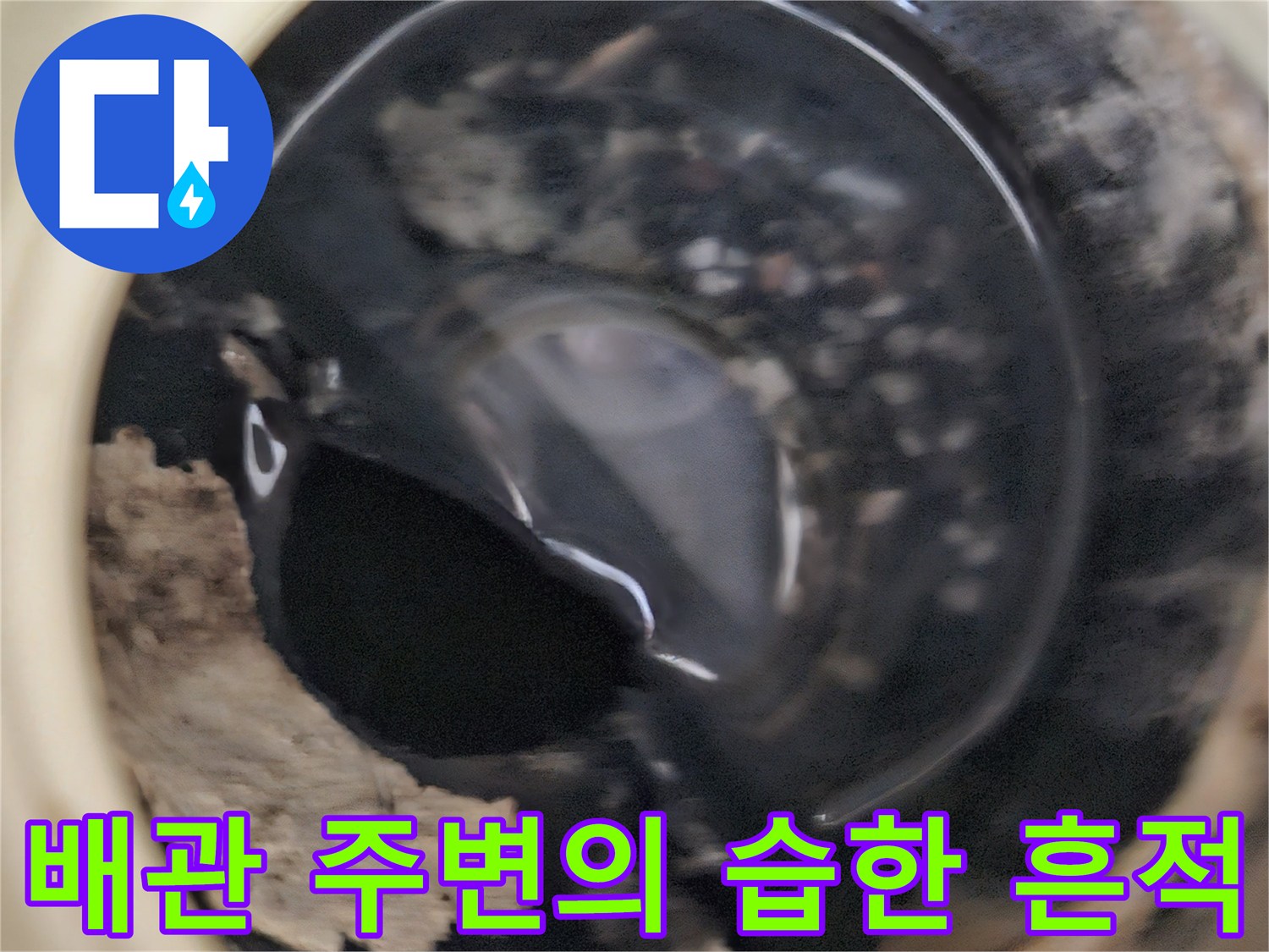 물샘으로 인해 오염된 배근과 마감재 상태입니다.