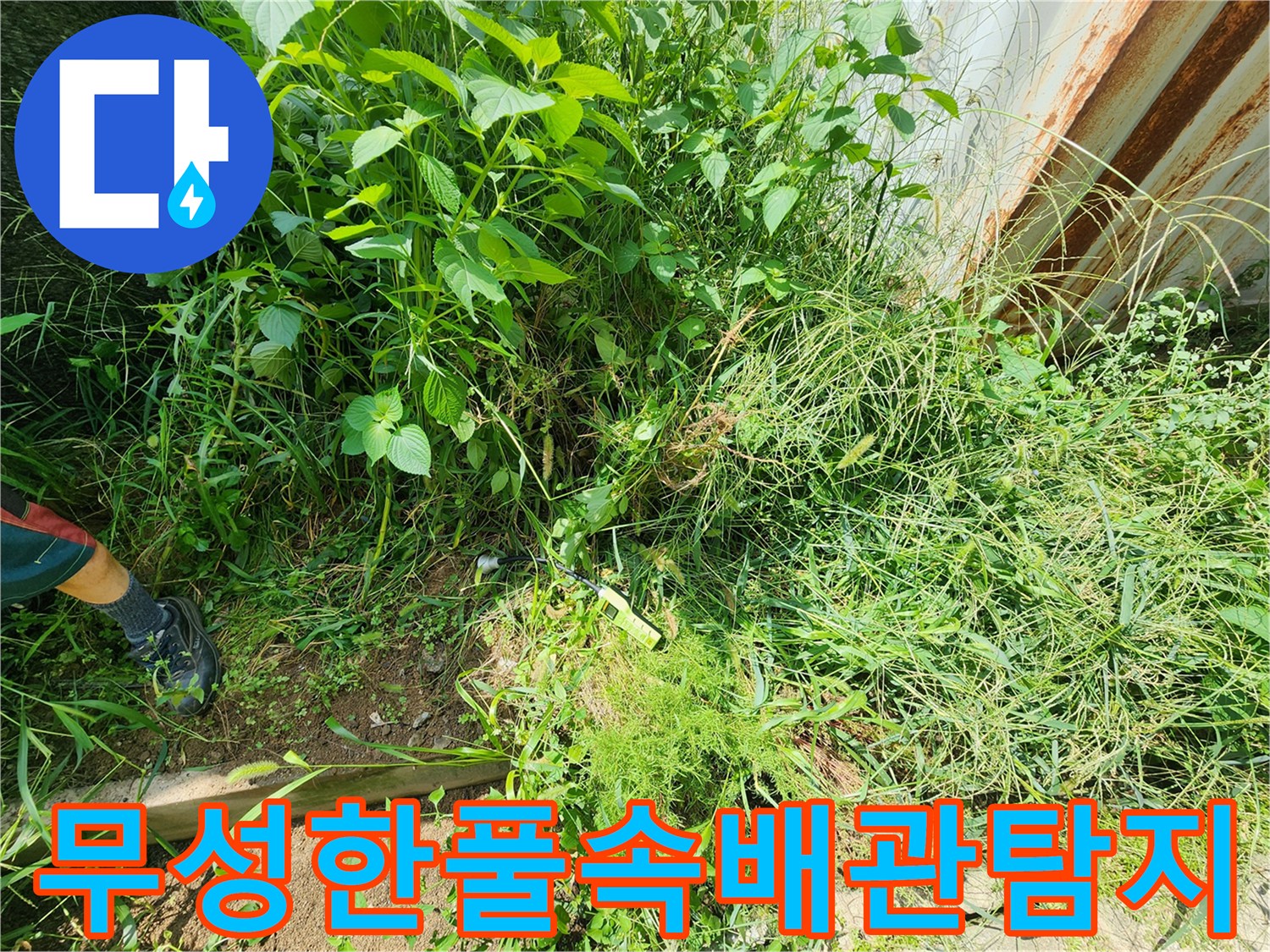 양주 남면 현장의-무성한 잡풀 사이에서 진행되는-배관 누수 탐지 과정입니다.