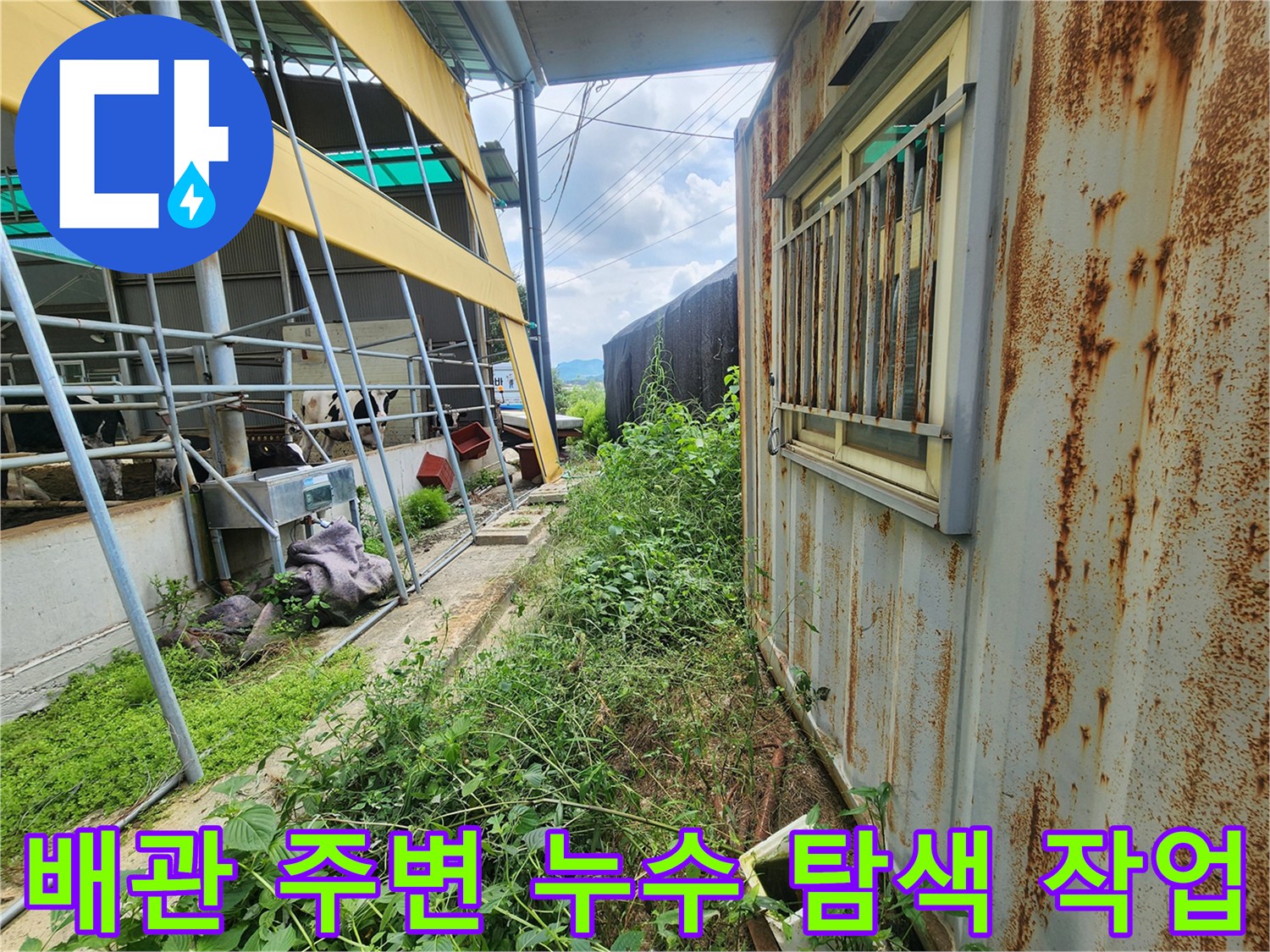 컨테이너 근처 야외 배관의 누수 지점을 찾기 위해 정밀하게 점검하는 장면입니다.
