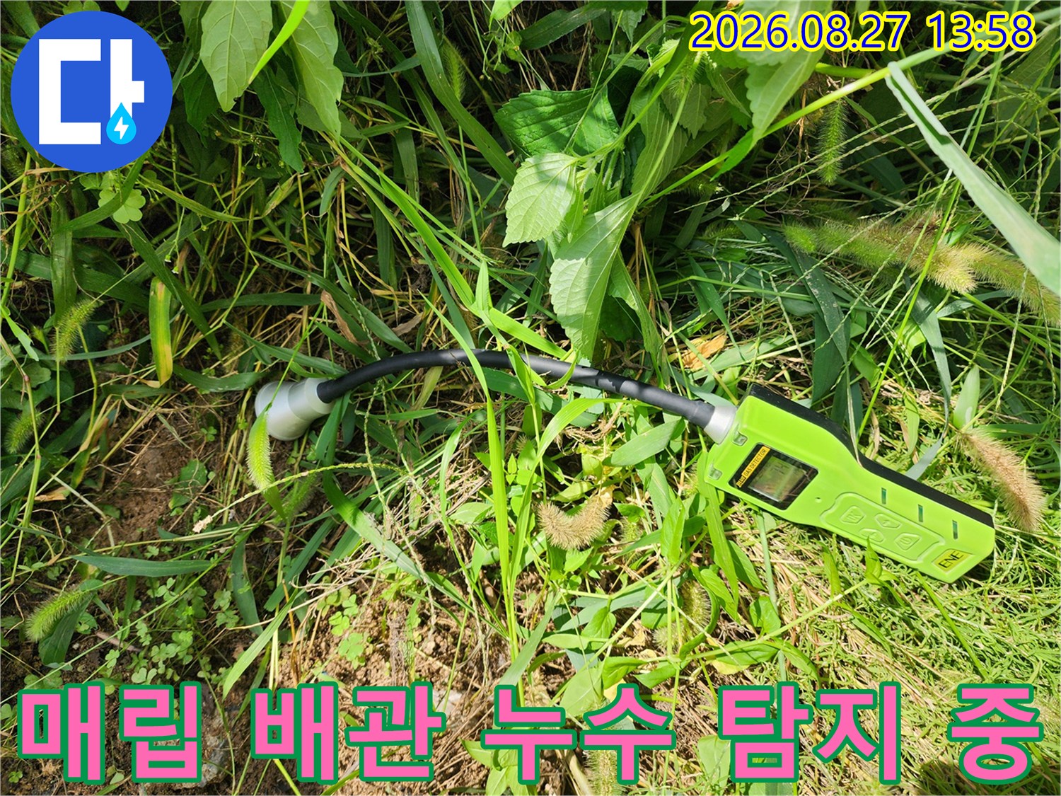 풀이 우거진 현장에서-가스식 탐지기를 통해 매립된 배관의 이상 유무를 확인합니다.