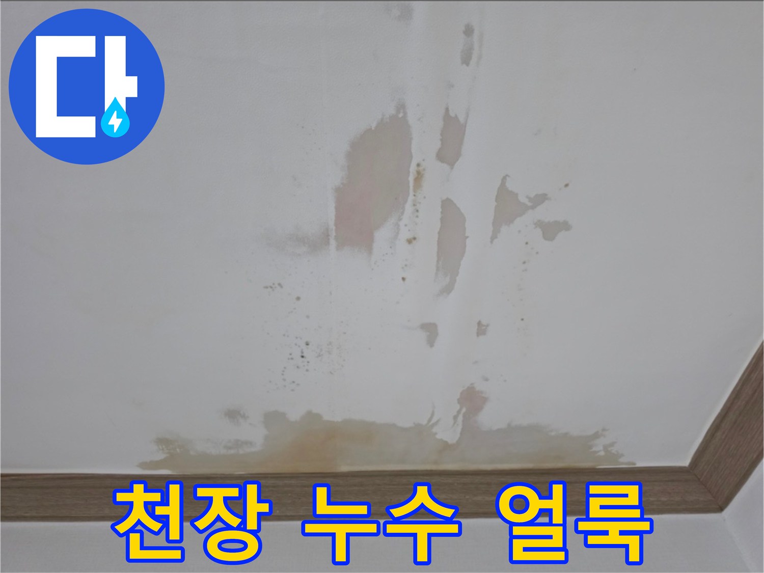 넓게-퍼진-천장-누수-얼룩-사진
