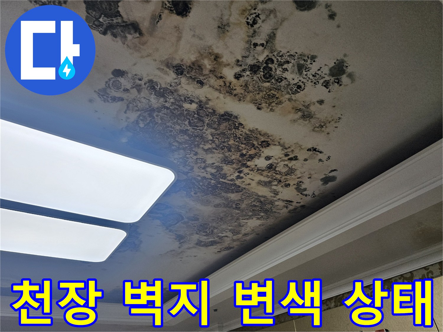 물샘으로 인해 변색되고 곰팡이가 피어오른 천장 벽지