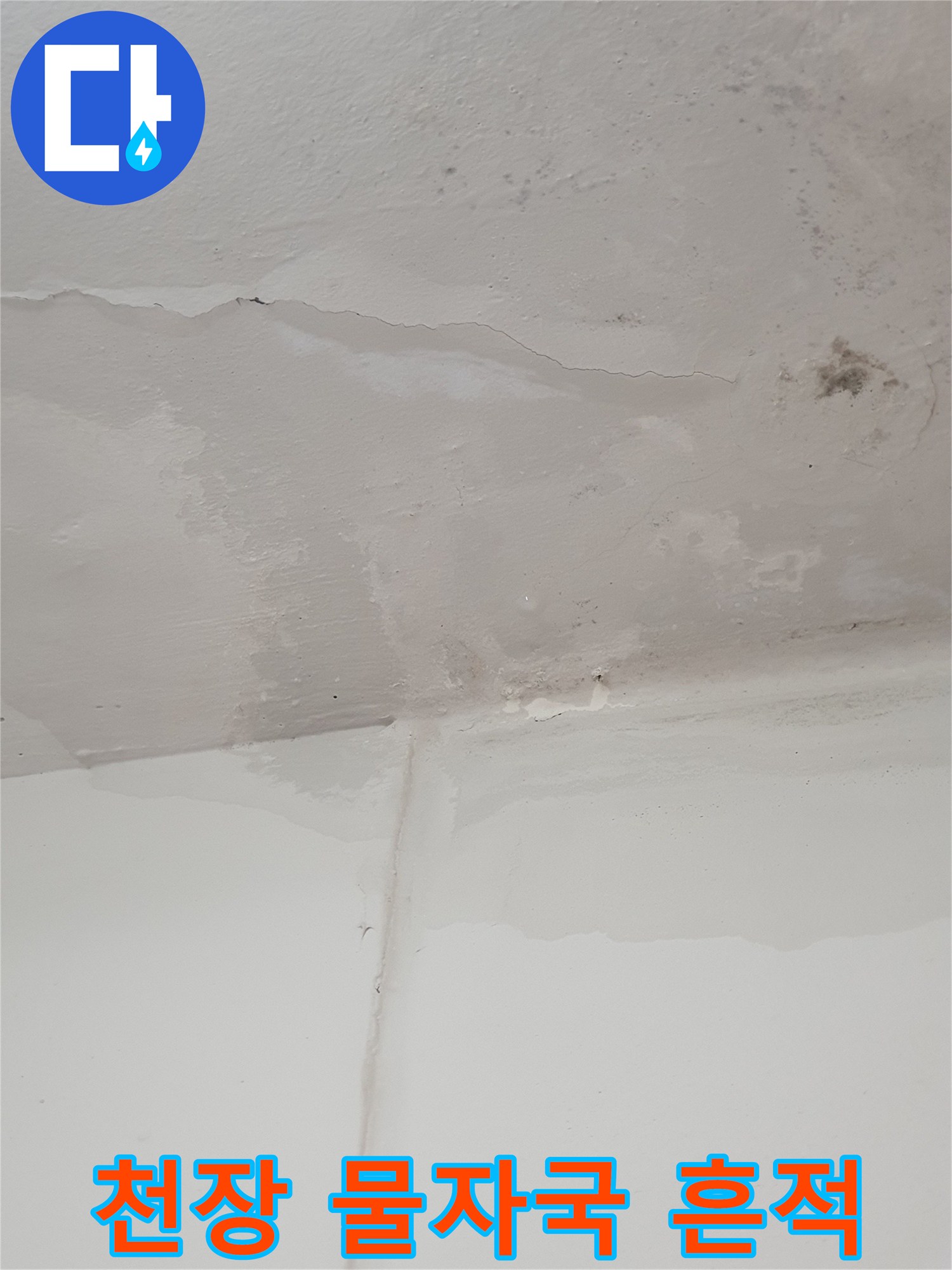 산척동 세탁실-천장 균열과 습기 침투 흔적