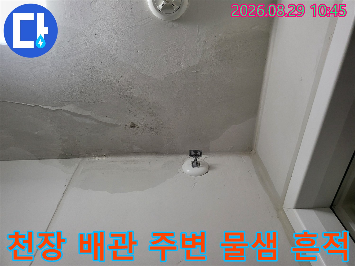 세탁실 배관 연결 부위 주변으로 번져 있는 습기와 천장 변색된 부분의 근접 촬영입니다.