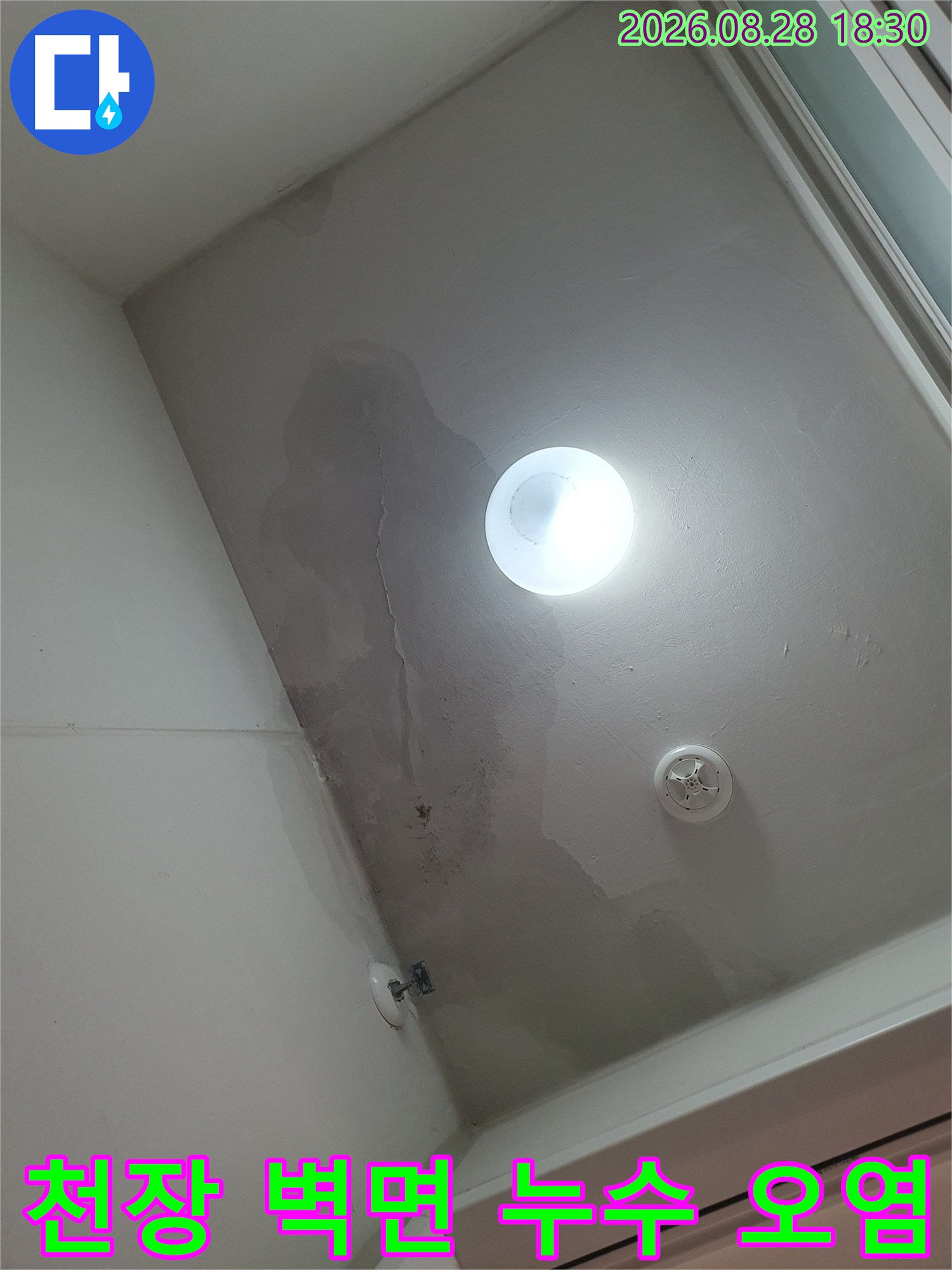 아파트 세탁실 천장 마감재에 발생한 짙은 수분 침투 흔적