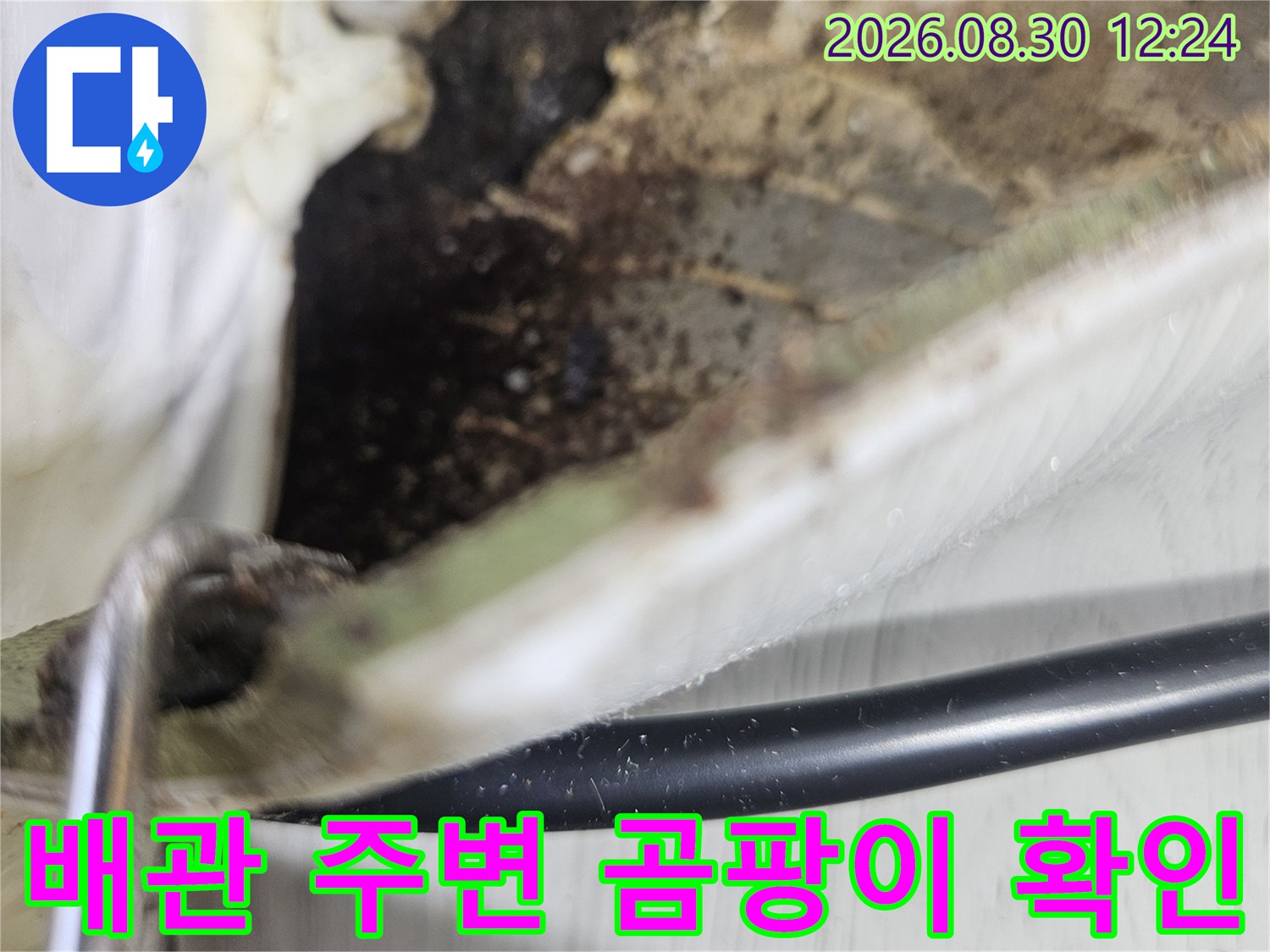 배관 주변에 발생한 검은색 곰팡이와 습기 흔적 사진