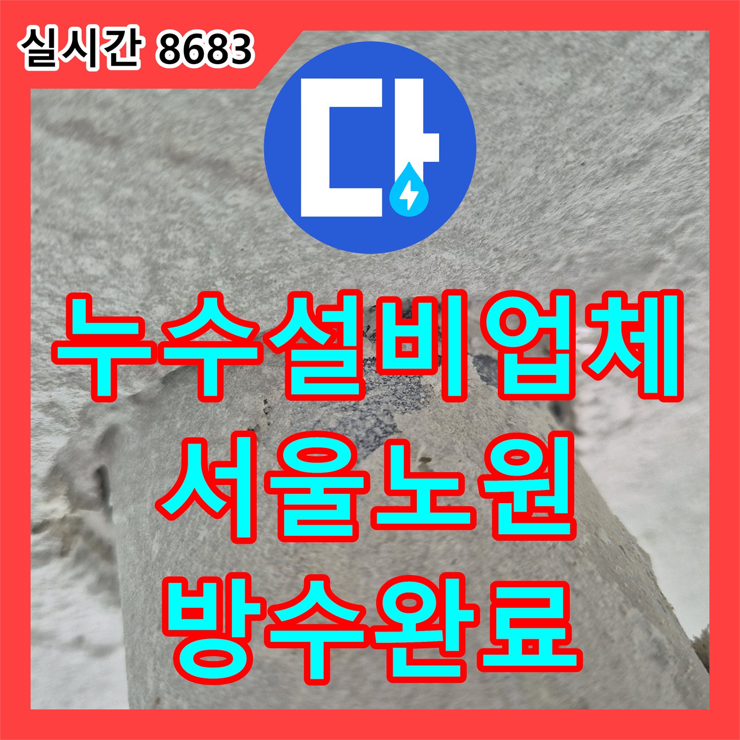 누수설비업체 세탁실 천장 누수를 유발한 배수구 주변 방수층 결함 해결 과정 서울 노원구 상계동