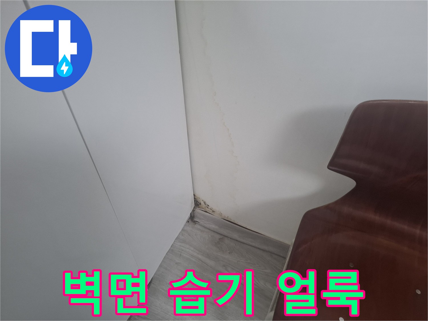 거실 벽체 하단부에 발생한 누수 흔적과 곰팡이 침투 상태