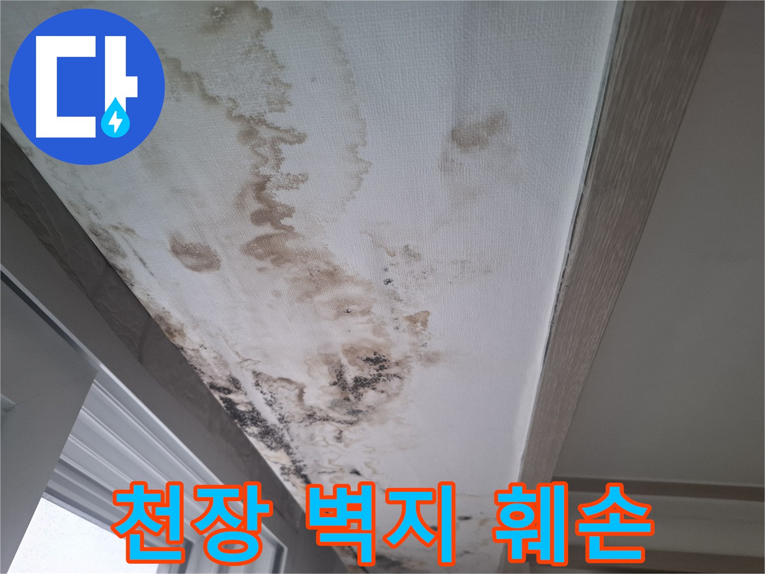 습기로 인해 변색되고 곰팡이가 발생한 천장 마감재 부위
