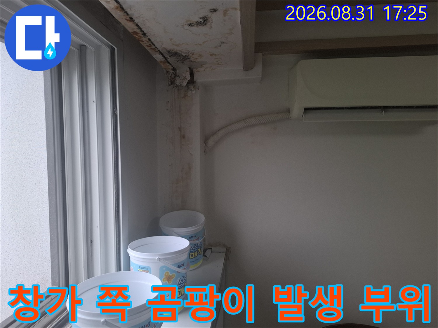 창틀 인근-천장과 벽면에 나타난 곰팡이와 물자국
