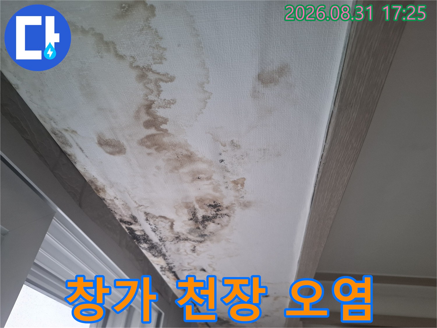 천장 가장자리를 따라 번진 물 얼룩과 곰팡이 발생 부위