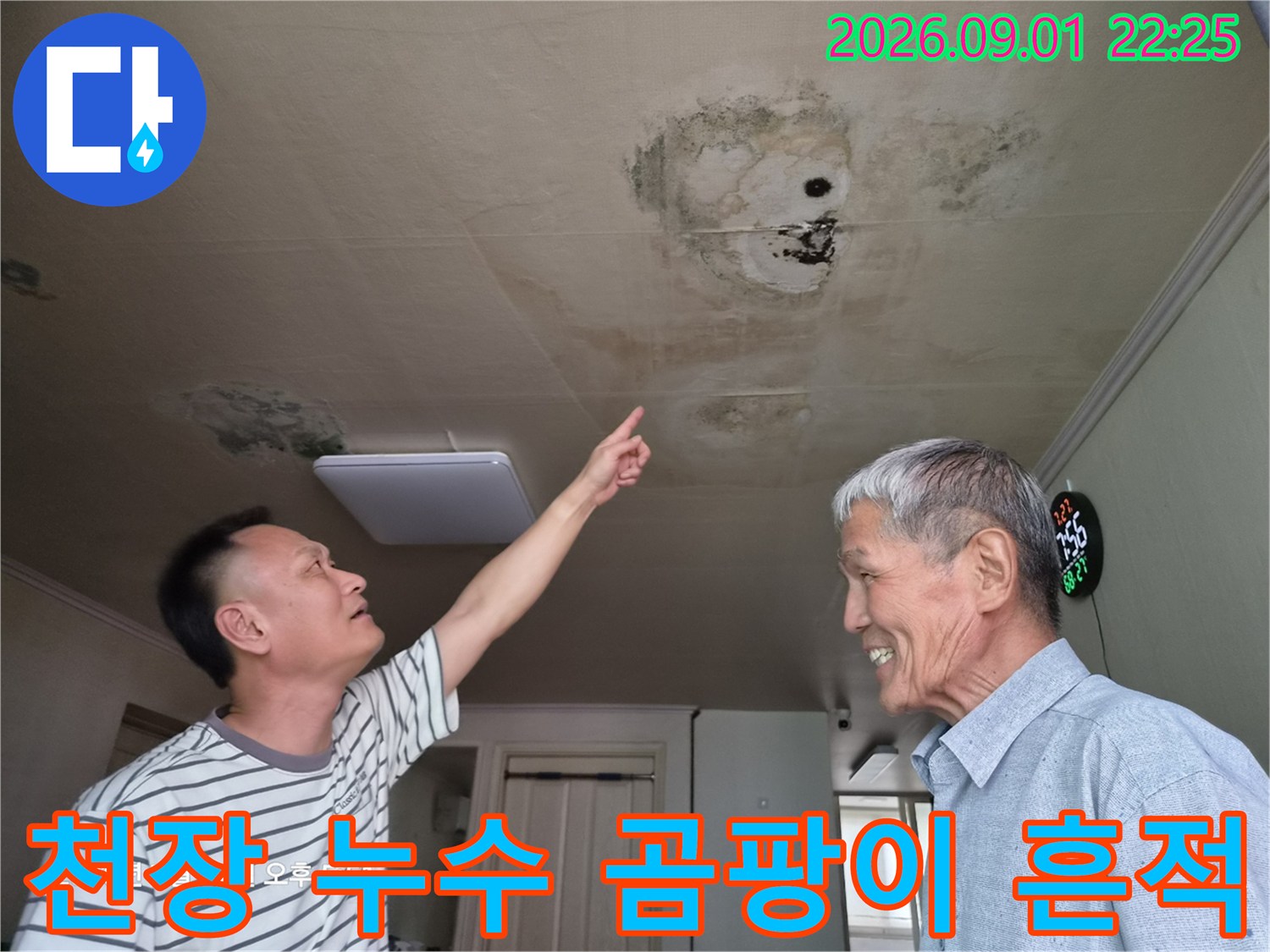 천장 천장에 발생한 넓은 범위의 곰팡이와 습기 얼룩
