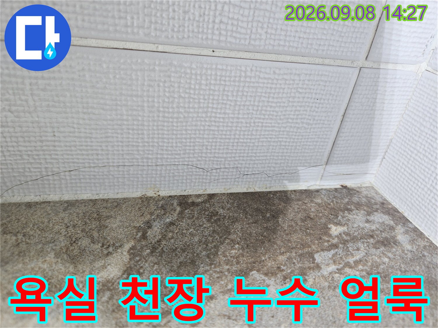 인천 부평구-욕실 천장 슬라브 하부에 발생한 젖은 얼룩과 오염 상태