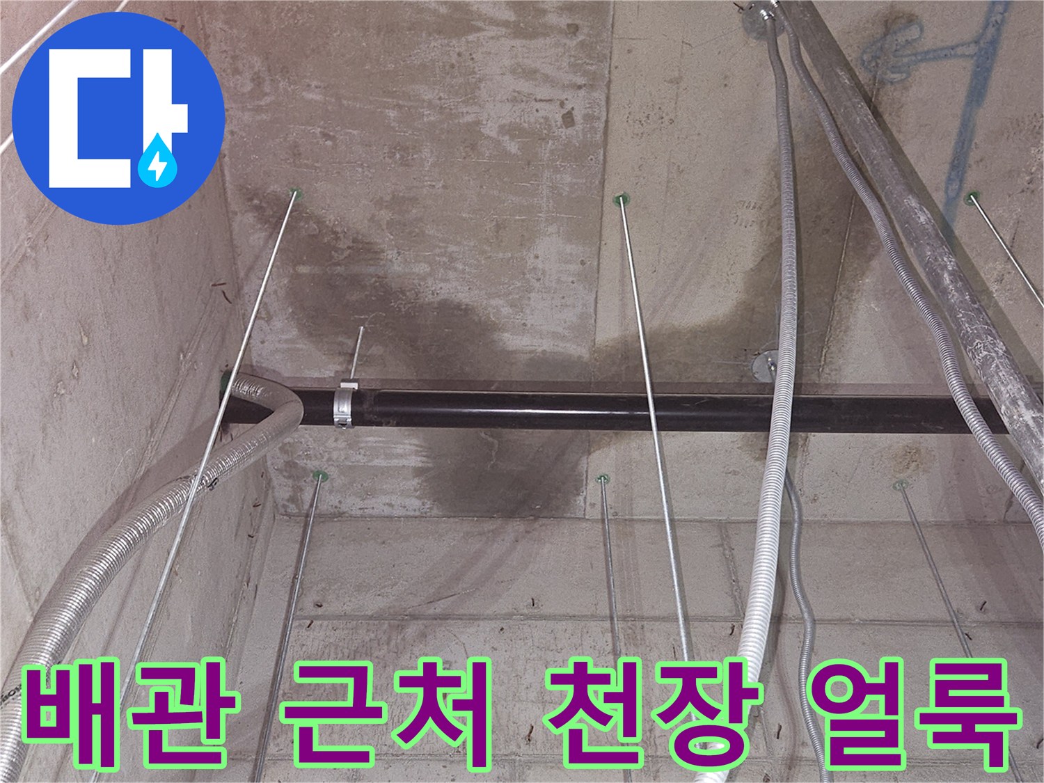 지하 창고 천장-콘크리트 면에 발생한 젖은 흔적과 얼룩