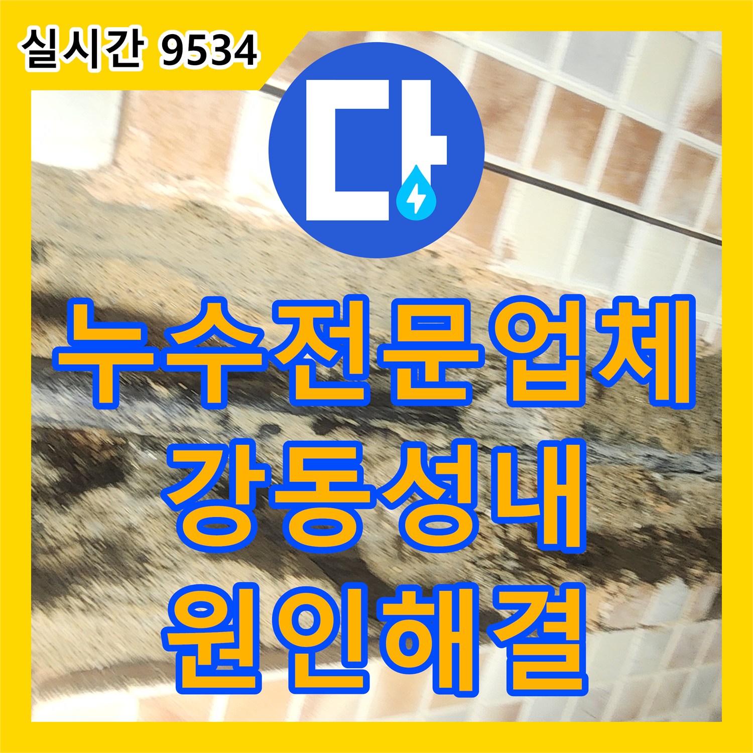 누수전문업체 매립 배관 파손으로 인한 아랫층 누수 피해를 공압 검사와 굴착 보수로 해결한 서울 강동구 성내동 사례