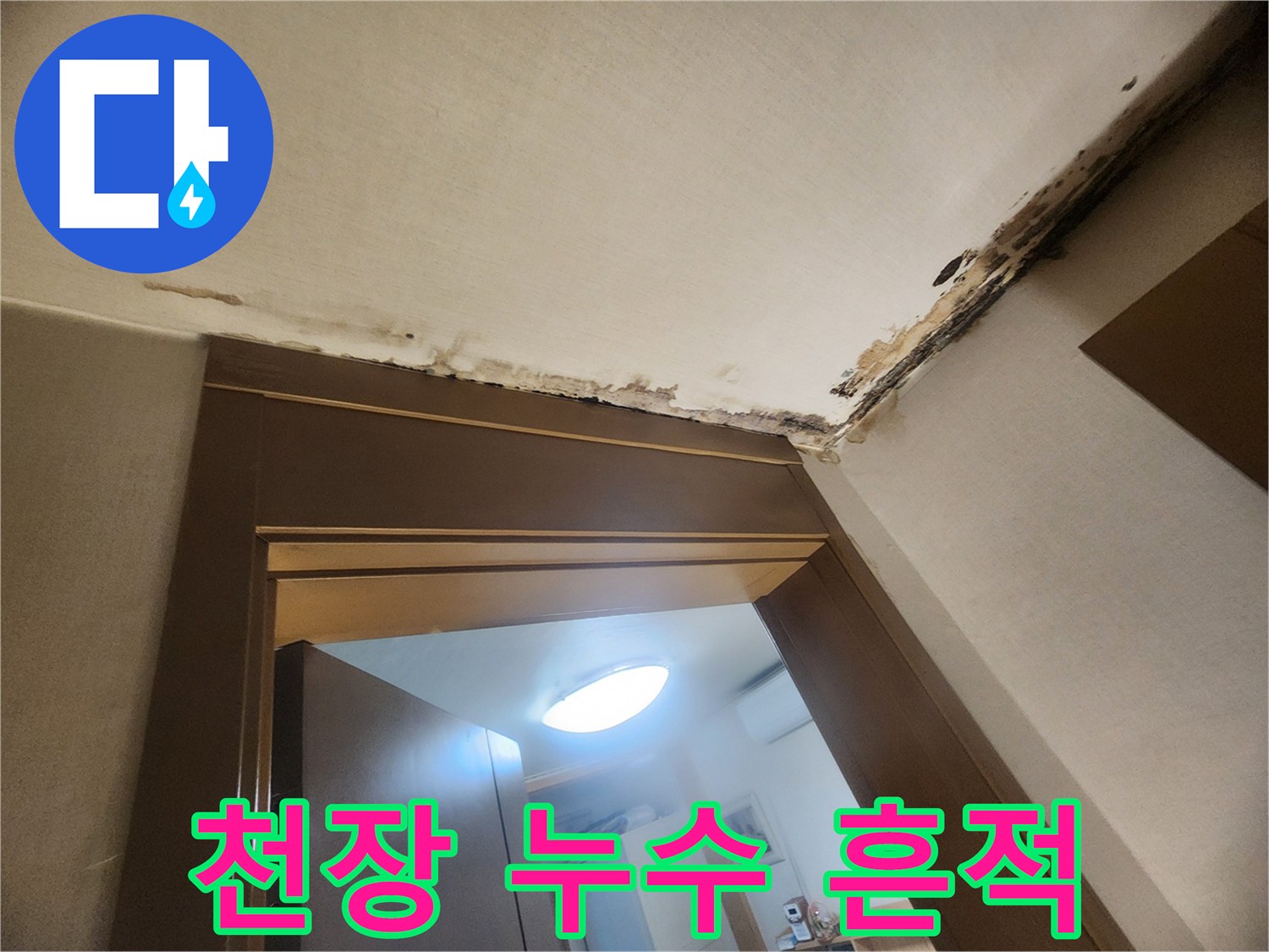 성내동 현장-천장 가장자리 곰팡이 및 습기 오염