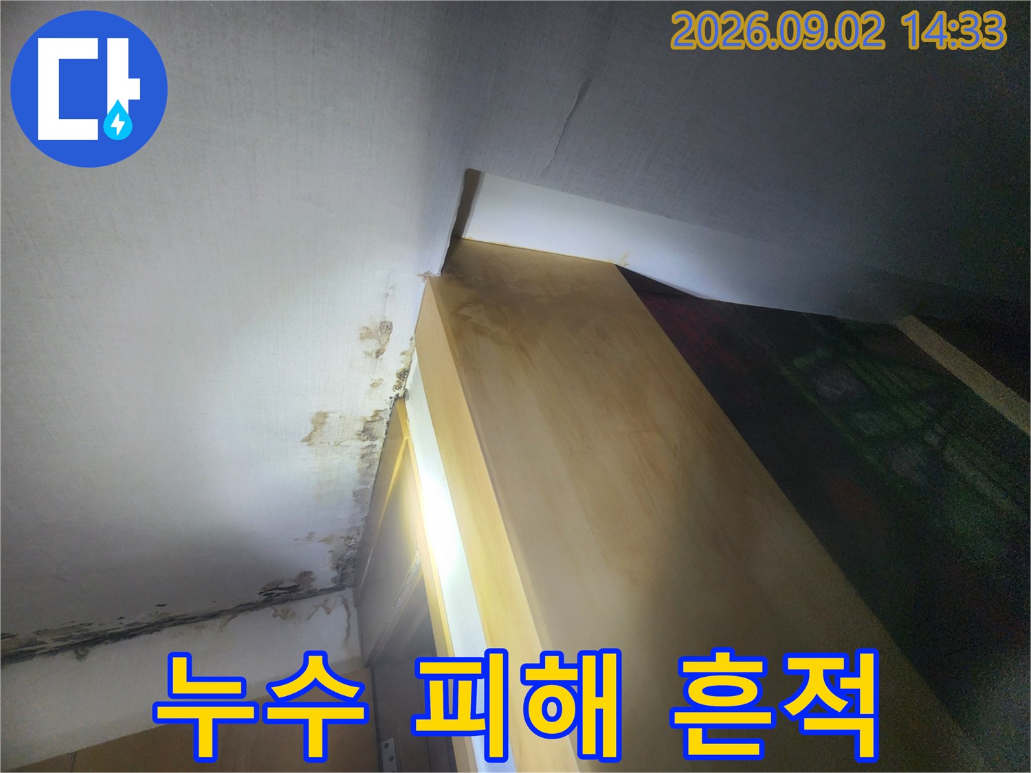 천장 마감재에 나타난 젖은 자국과 곰팡이 형성 부위