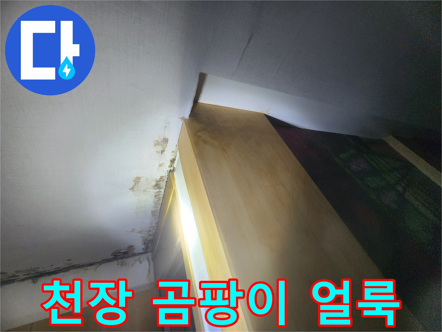 천장 벽면의 검은색 곰팡이와 습기로 인한 얼룩 상태