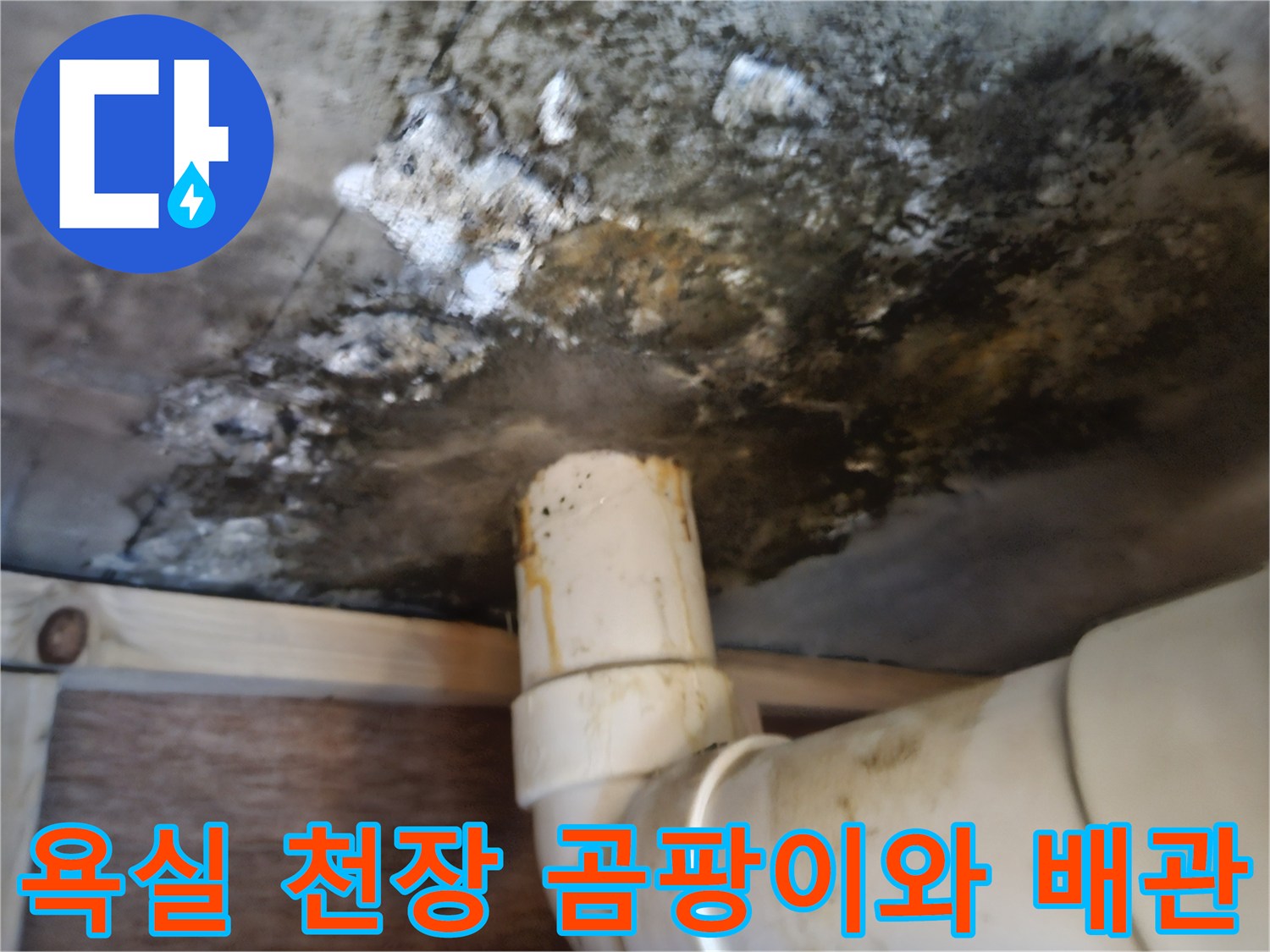 검게 변색된 콘크리트 슬래브-배수관 주변의 곰팡이 상태