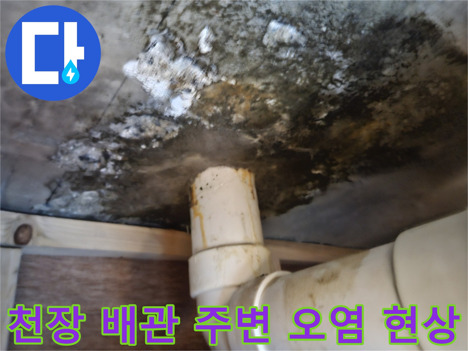 검게-오염된-천장-콘크리트와-곰팡이가-핀-배수-파이프