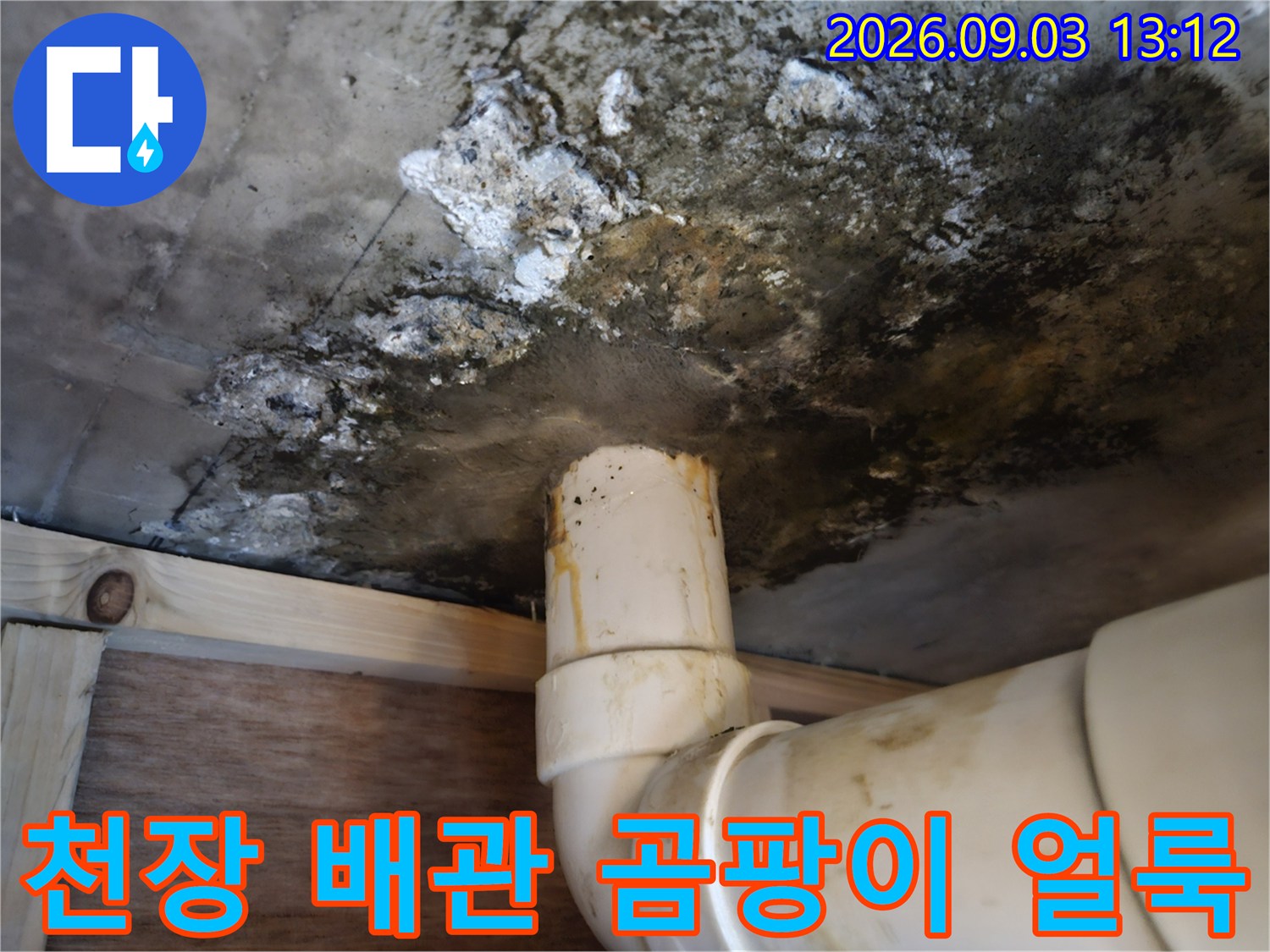 배관 주변의 심한 곰팡이와 천장 오염 상태