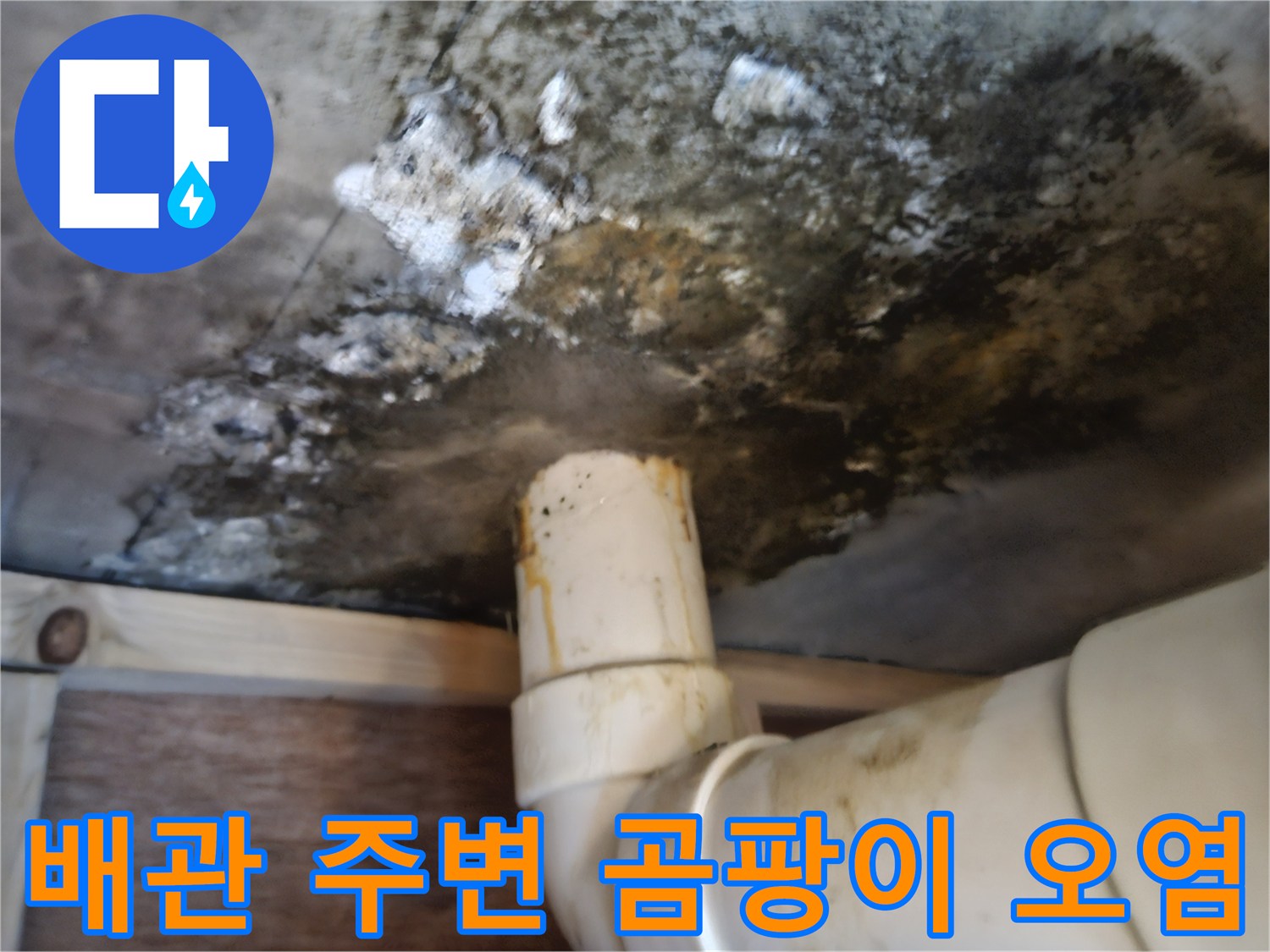 욕실-하부층-천장-배관-주변의-심한-곰팡이와-변색-상태