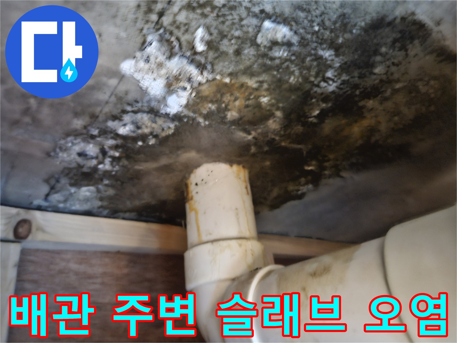 천장-배관-주변-콘크리트-슬래브-검은색-곰팡이-및-변색