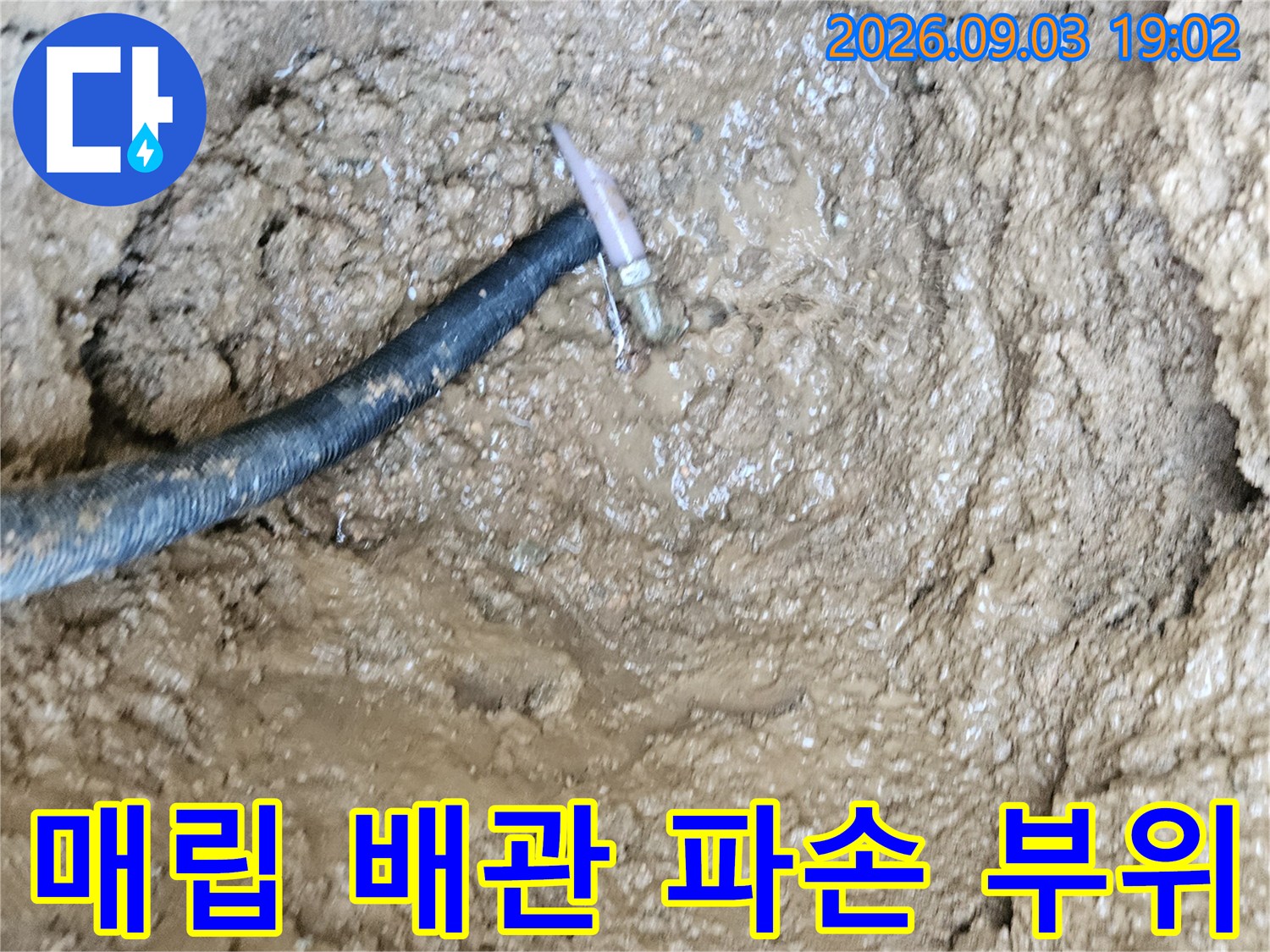 매립된 수도 배관-연결 부근의 젖은 흙과 노출된 배관 상태를 보여줍니다.