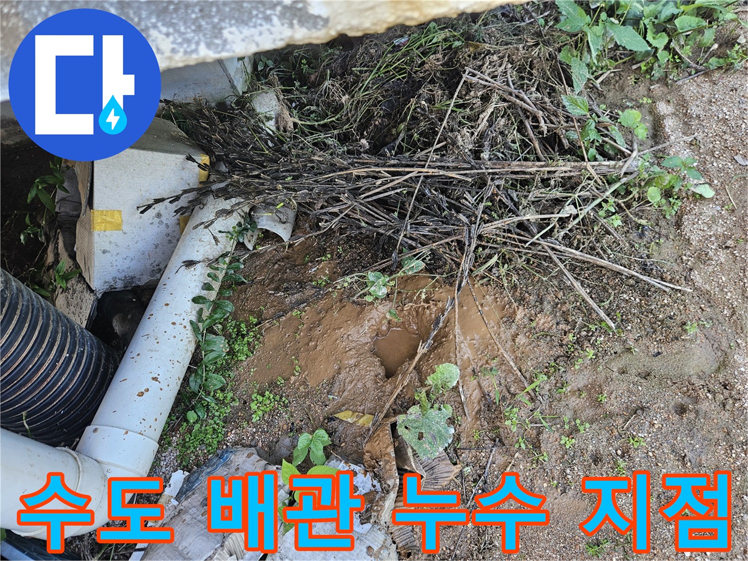 흙을 파낸 자리에 고여 있는 물과 손상된 배관 부속