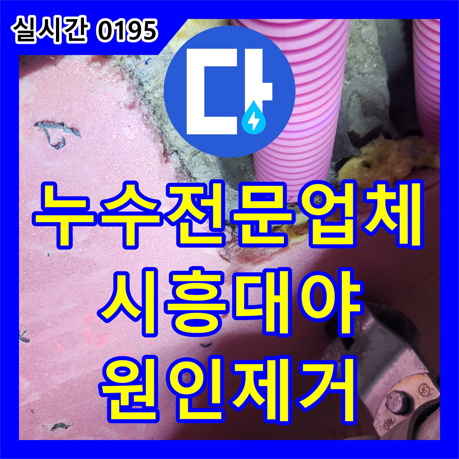 누수전문업체 세면대 파이프 의심 지점부터 전선 볼트 누수까지 정밀하게 진단한 경기 시흥시 대야동