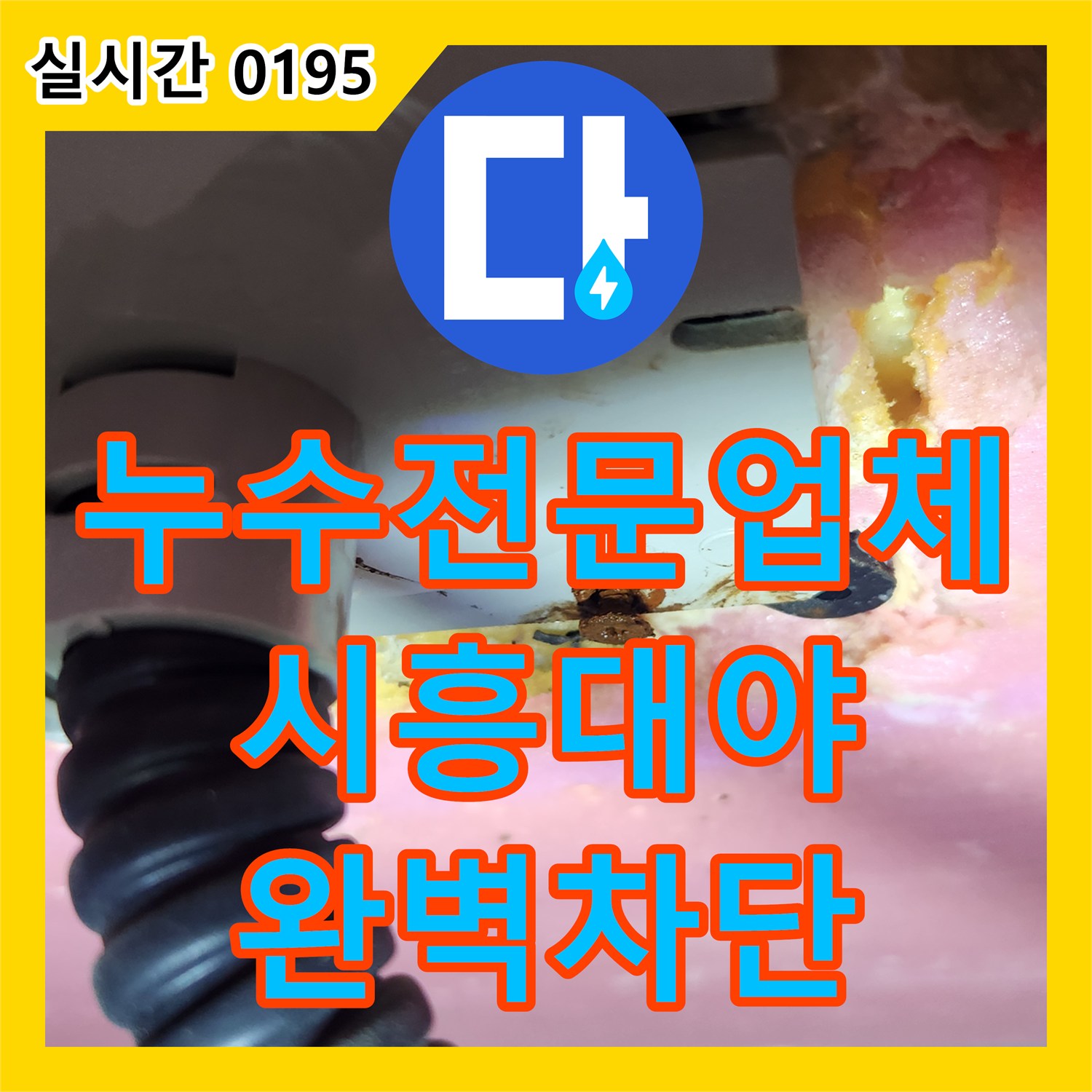 누수전문업체 세면대 파이프 의심 지점을 넘어 볼트 쪽 누수를 찾아낸 과정 경기 시흥시 대야동