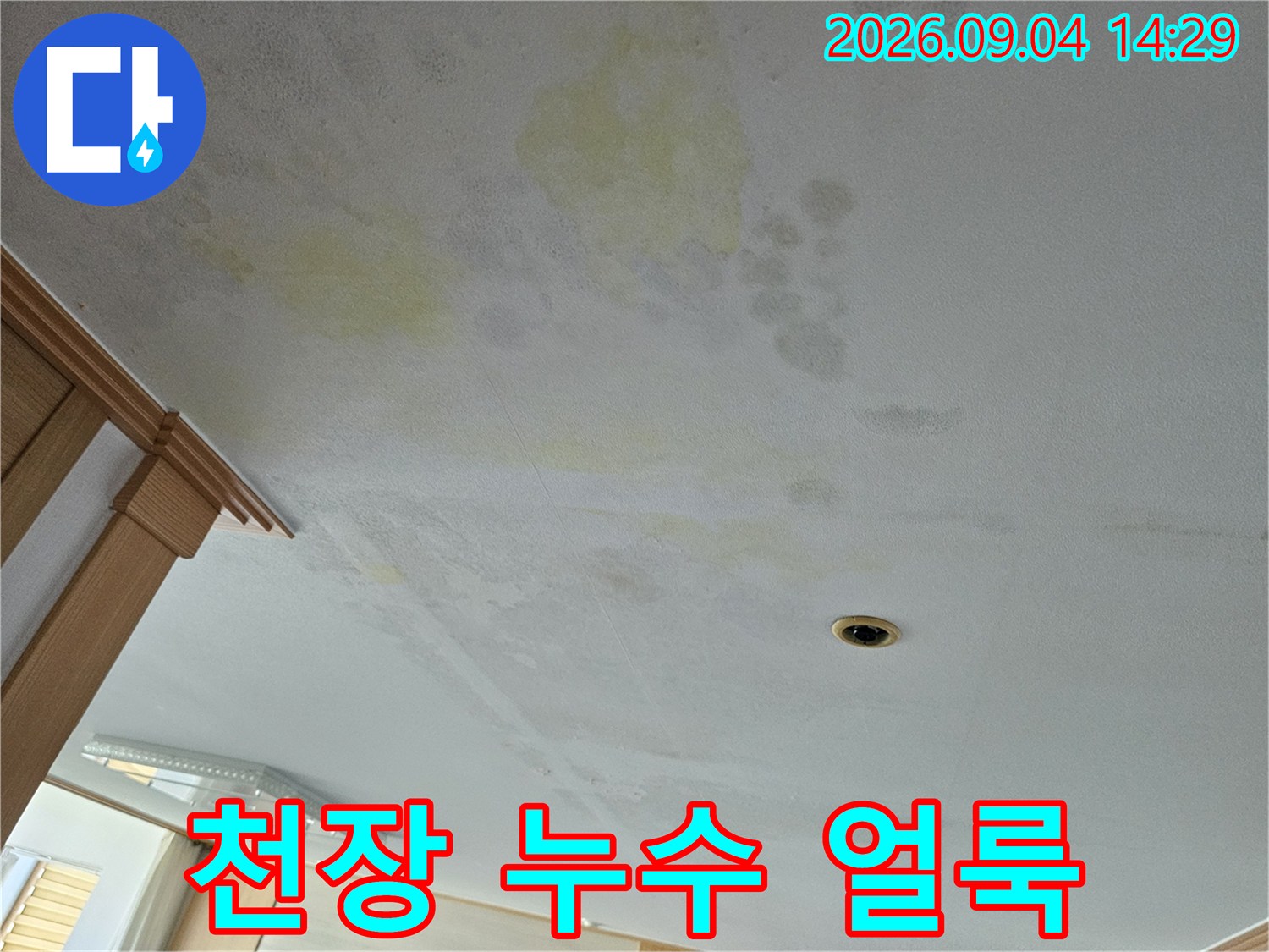 용인 처인구 아랫집 거실 천장에 발생한 누수 흔적과 얼룩