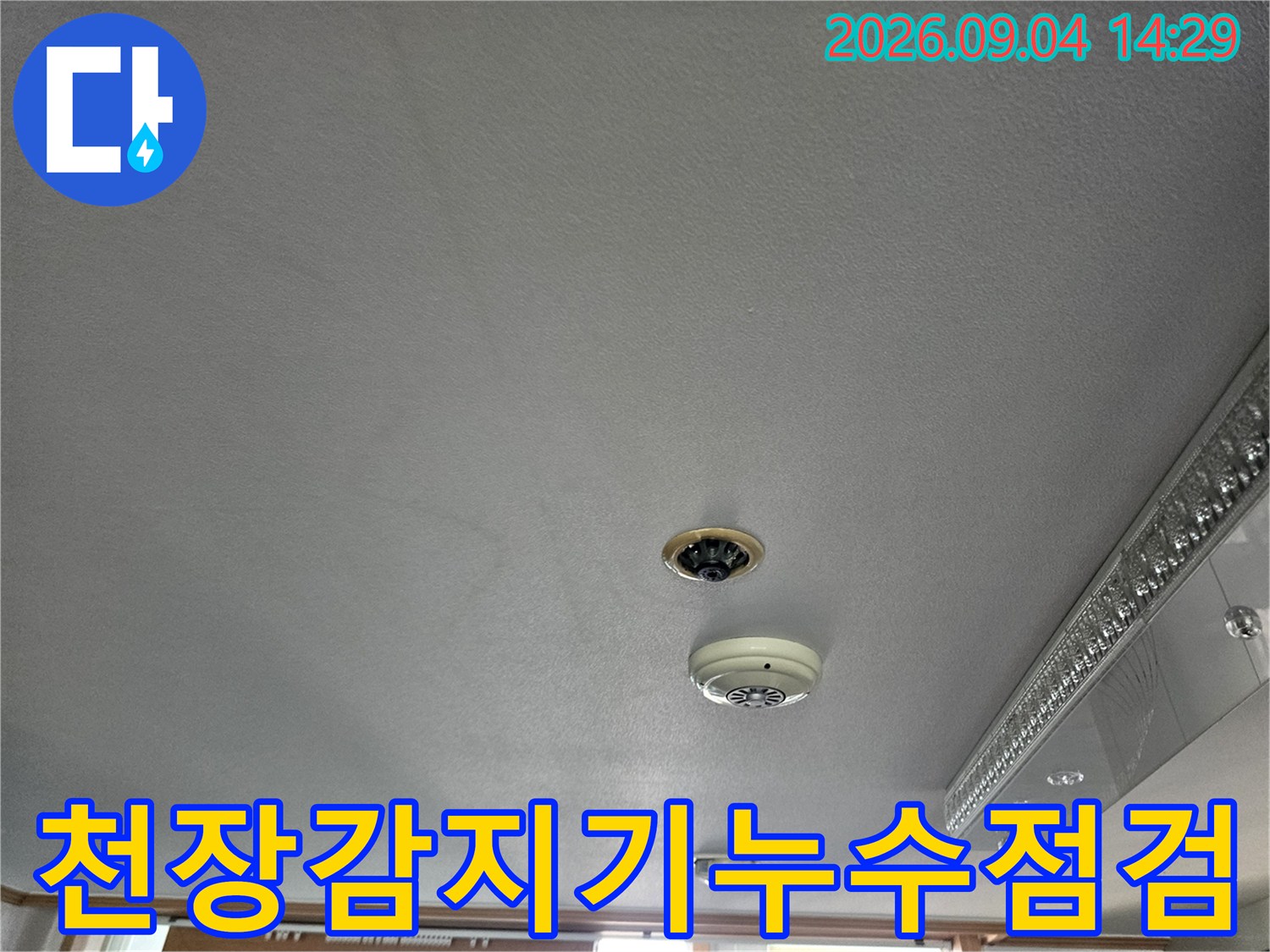 천장에 설치된 소방 감지기와 조명등의 근접 촬영 모습입니다.