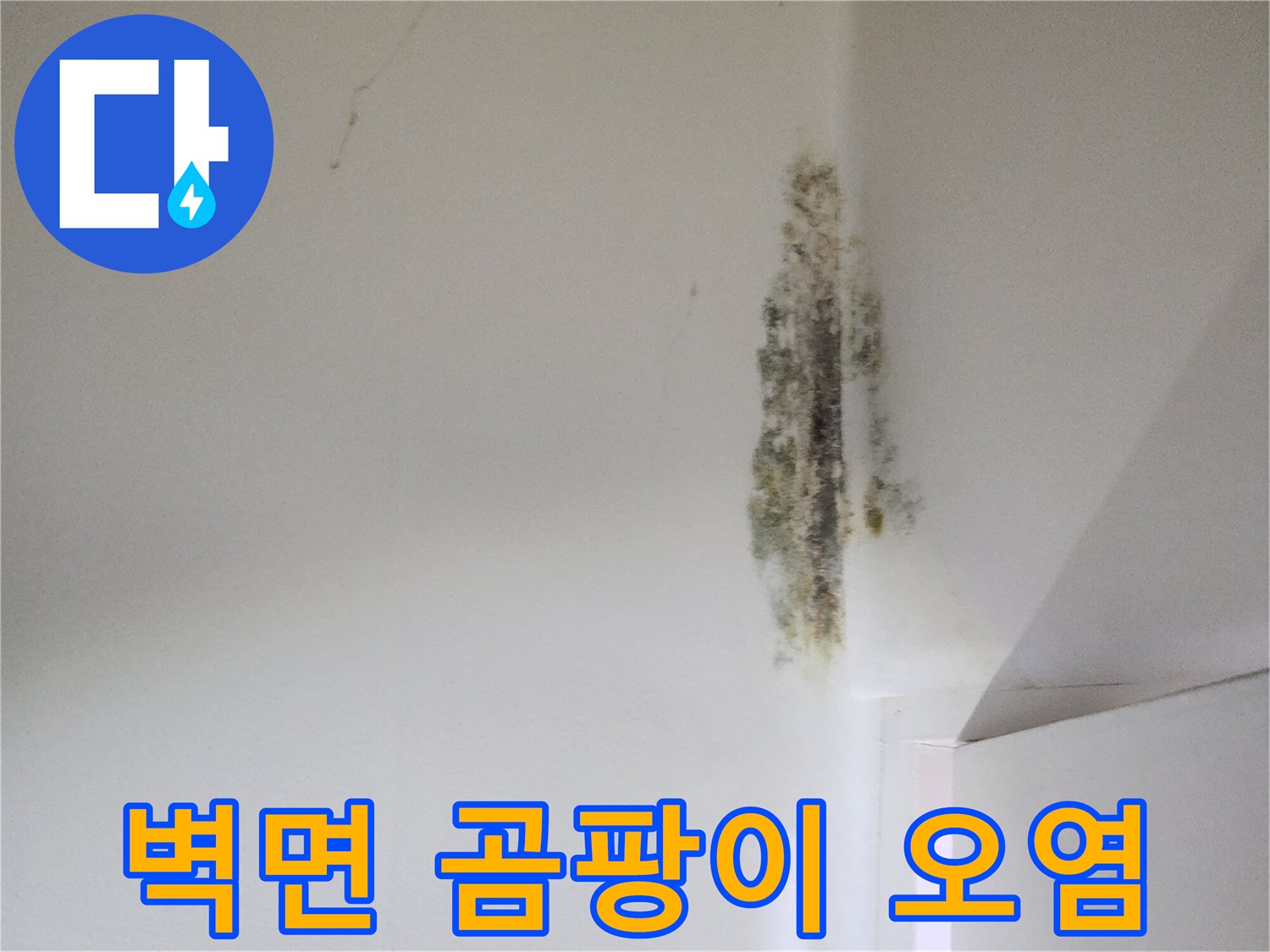 누수로-발생한-벽면-곰팡이-상태