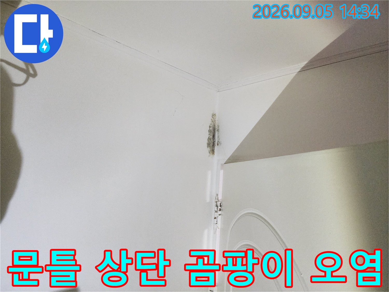 신사동 누수 현장-문틀 경계 벽지의 변색 및 곰팡이 상태