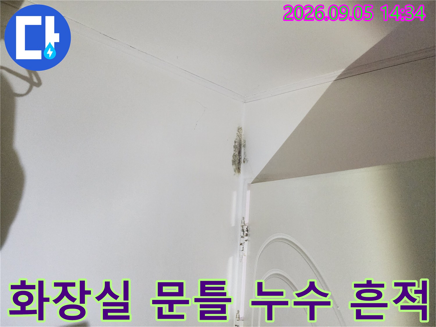 은평구 신사동 현장의 화장실 문틀 주변 벽지 변색 및 곰팡이 발생 상태