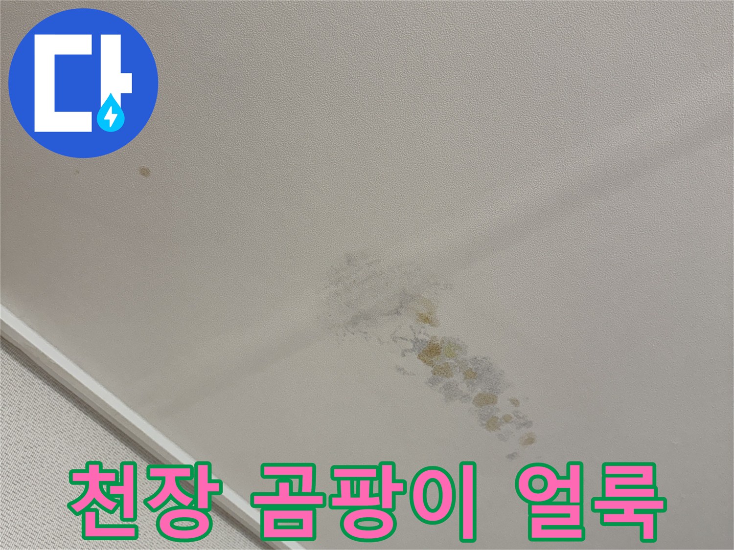 용인 동천동 아파트-천장 곰팡이 및 부식 상태