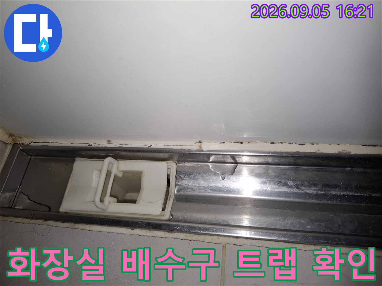 스테인리스 배수구 틀과 흰색 플라스틱 트랩의 결합 상태를 점검 중입니다.